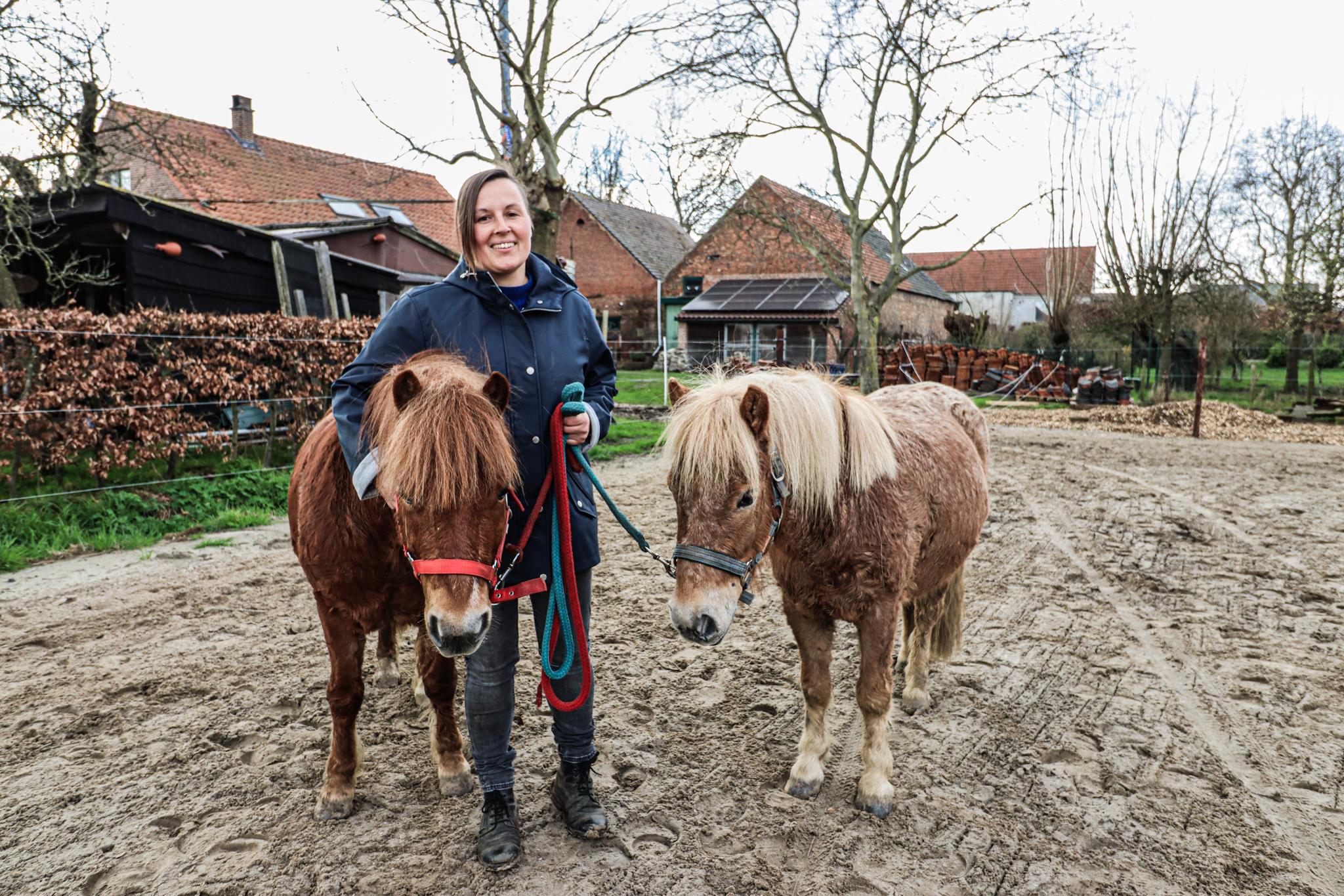 Karen Koch start hippotherapie met pony’s als helpende handen op Hoeve De Knot 