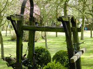 De boomgaard met hoefstal waarin de proefavond plaatsvindt