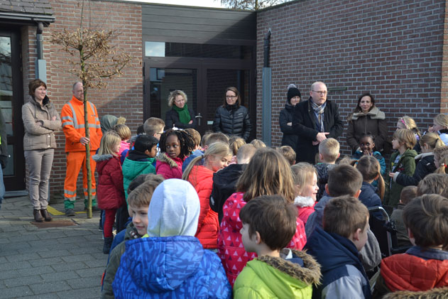 DKT_DeRekke