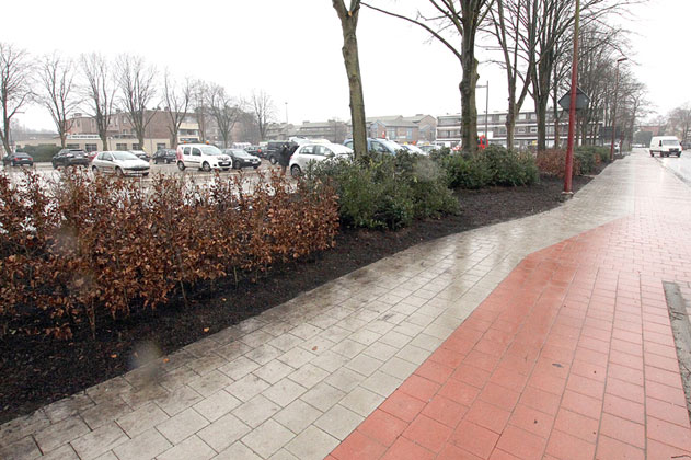 Marktplein-nieuwe-beplanting---maart-2016